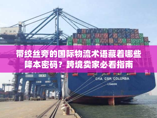带绞丝旁的国际物流术语藏着哪些降本密码？跨境卖家必看指南