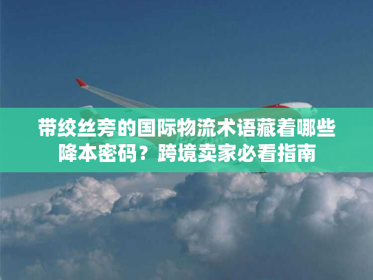 带绞丝旁的国际物流术语藏着哪些降本密码？跨境卖家必看指南