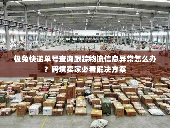 极兔快递单号查询跟踪物流信息异常怎么办？跨境卖家必看解决方案