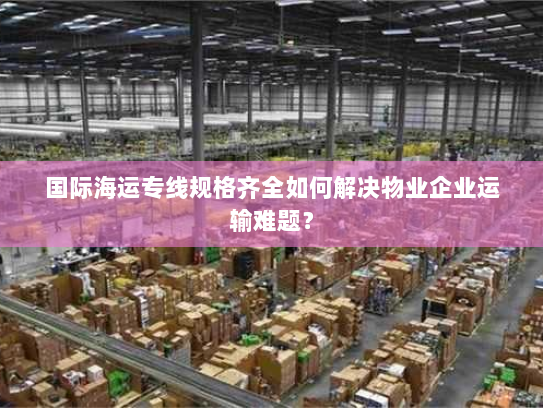 国际海运专线规格齐全如何解决物业企业运输难题？