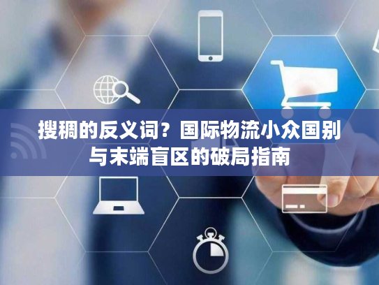 搜稠的反义词？国际物流小众国别与末端盲区的破局指南