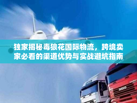 独家揭秘毒狼花国际物流，跨境卖家必看的渠道优势与实战避坑指南