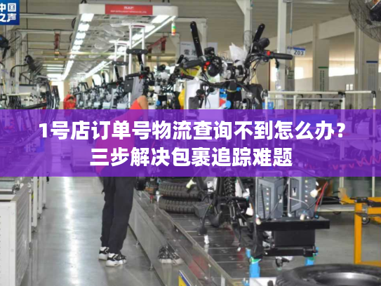 1号店订单号物流查询不到怎么办？三步解决包裹追踪难题