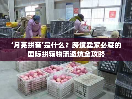 ‘月亮拼音’是什么？跨境卖家必藏的国际拼箱物流避坑全攻略