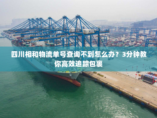 四川相和物流单号查询不到怎么办?3分钟教你高效追踪包裹 四川相和物流单号查询不到怎么办?3分钟教你高效追踪包裹