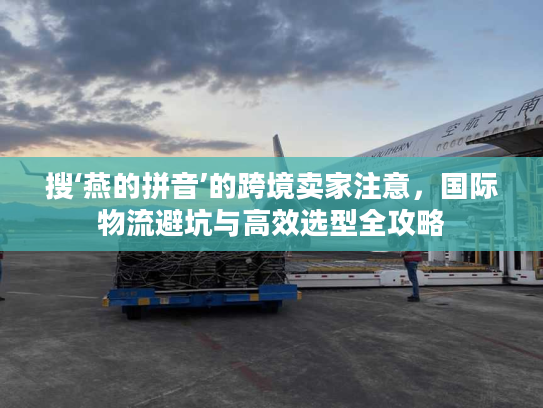 搜‘燕的拼音’的跨境卖家注意，国际物流避坑与高效选型全攻略