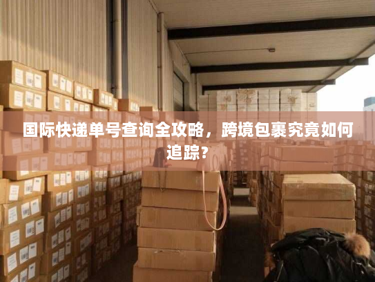 国际快递单号查询全攻略,跨境包裹究竟如何追踪? 国际快递单号查询全攻略,跨境包裹究竟如何追踪?