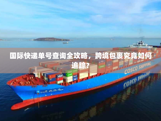 国际快递单号查询全攻略,跨境包裹究竟如何追踪? 国际快递单号查询全攻略,跨境包裹究竟如何追踪?