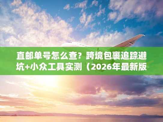 直邮单号怎么查？跨境包裹追踪避坑+小众工具实测（2026年最新版）