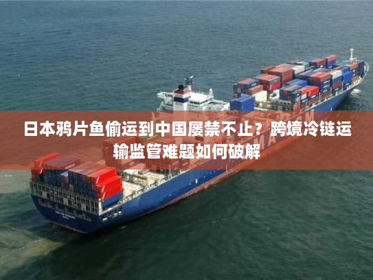 日本鸦片鱼偷运到中国屡禁不止?跨境冷链运输监管难题如何破解 日本鸦片鱼偷运到中国屡禁不止?跨境冷链运输监管难题如何破解