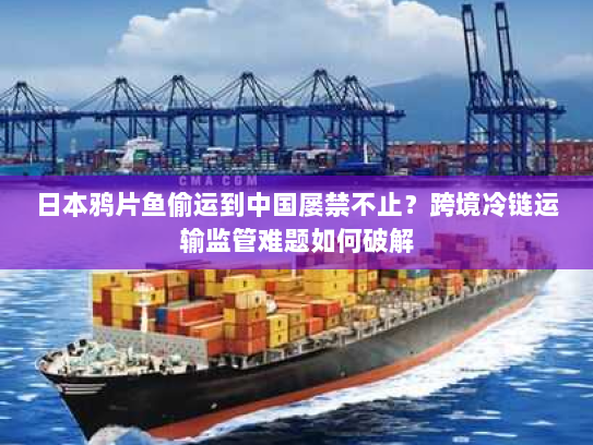 日本鸦片鱼偷运到中国屡禁不止?跨境冷链运输监管难题如何破解 日本鸦片鱼偷运到中国屡禁不止?跨境冷链运输监管难题如何破解