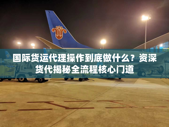 国际货运代理操作到底做什么？资深货代揭秘全流程核心门道