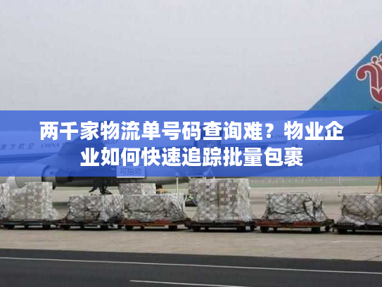 两千家物流单号码查询难？物业企业如何快速追踪批量包裹