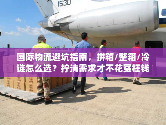 国际物流避坑指南，拼箱/整箱/冷链怎么选？拧清需求才不花冤枉钱