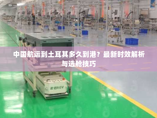 中国航运到土耳其多久到港?最新时效解析与选舱技巧 中国航运到土耳其多久到港?最新时效解析与选舱技巧