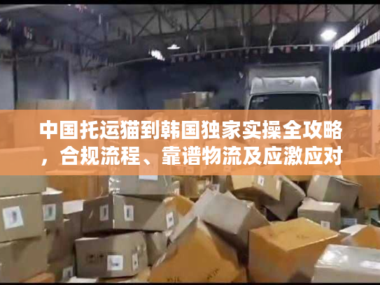 中国托运猫到韩国独家实操全攻略，合规流程、靠谱物流及应激应对
