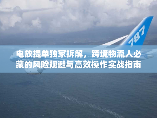 电放提单独家拆解，跨境物流人必藏的风险规避与高效操作实战指南