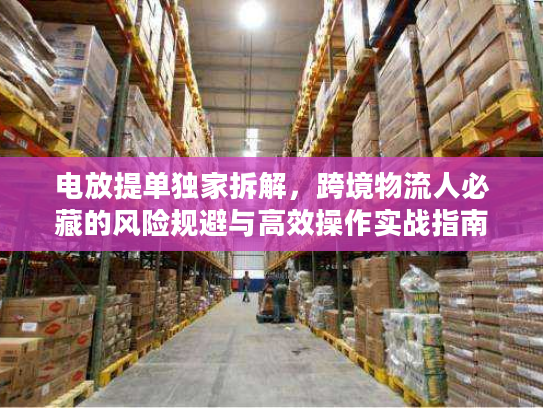 电放提单独家拆解，跨境物流人必藏的风险规避与高效操作实战指南