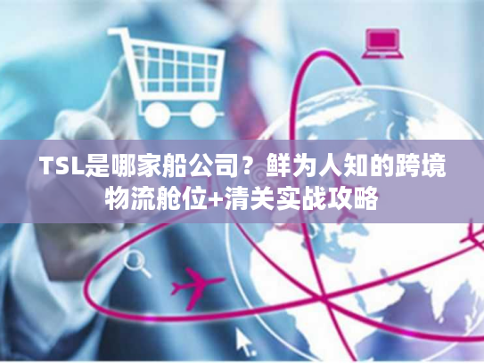 TSL是哪家船公司？鲜为人知的跨境物流舱位+清关实战攻略