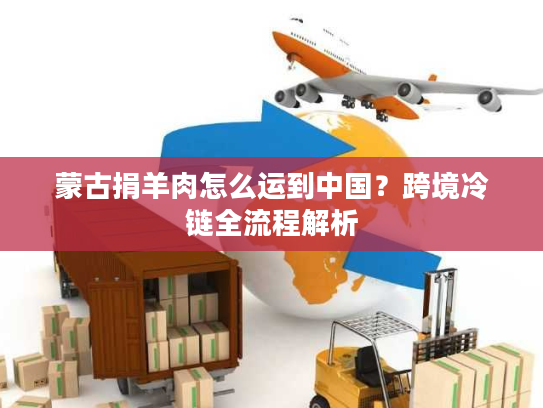 蒙古捐羊肉怎么运到中国？跨境冷链全流程解析