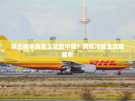 蒙古捐羊肉怎么运到中国？跨境冷链全流程解析