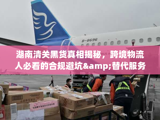 湖南清关黑货真相揭秘，跨境物流人必看的合规避坑&替代服务指南