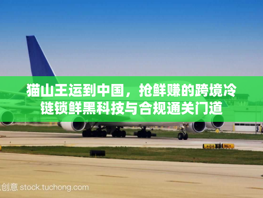 猫山王运到中国，抢鲜赚的跨境冷链锁鲜黑科技与合规通关门道