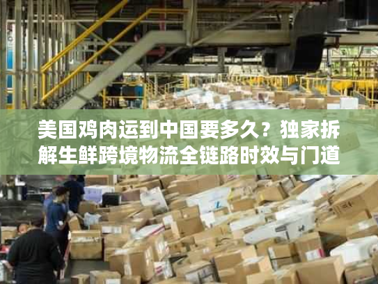 美国鸡肉运到中国要多久？独家拆解生鲜跨境物流全链路时效与门道