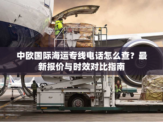 中欧国际海运专线电话怎么查？最新报价与时效对比指南
