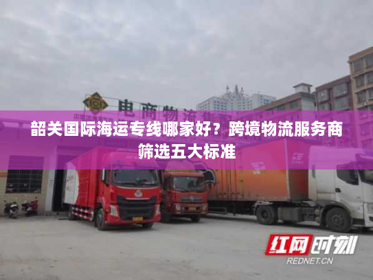 韶关国际海运专线哪家好？跨境物流服务商筛选五大标准
