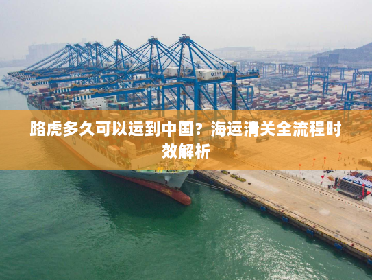 路虎多久可以运到中国?海运清关全流程时效解析 路虎多久可以运到中国?海运清关全流程时效解析