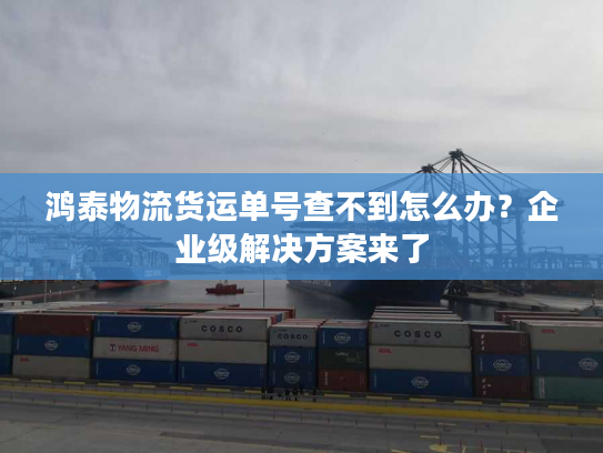 鸿泰物流货运单号查不到怎么办？企业级解决方案来了