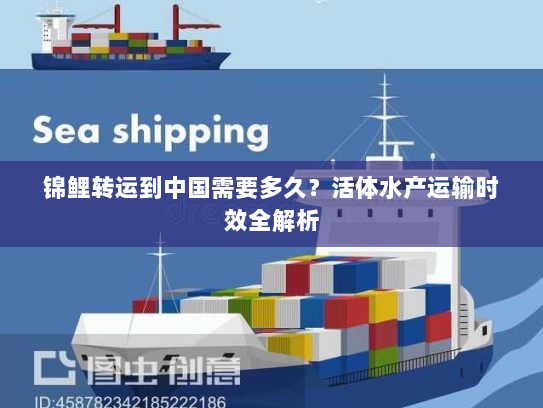 锦鲤转运到中国需要多久?活体水产运输时效全解析 锦鲤转运到中国需要多久?活体水产运输时效全解析