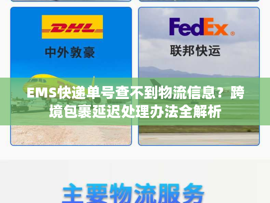 EMS快递单号查不到物流信息？跨境包裹延迟处理办法全解析
