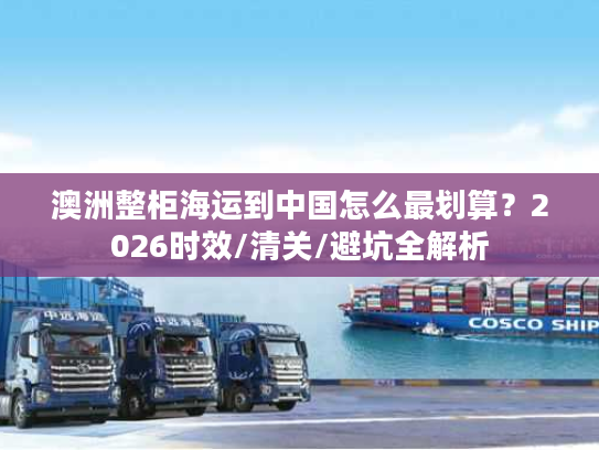 澳洲整柜海运到中国怎么最划算？2026时效/清关/避坑全解析