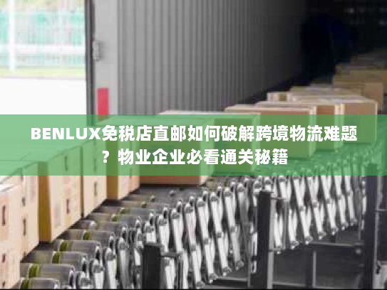 BENLUX免税店直邮如何破解跨境物流难题?物业企业必看通关秘籍 BENLUX免税店直邮如何破解跨境物流难题?物业企业必看通关秘籍