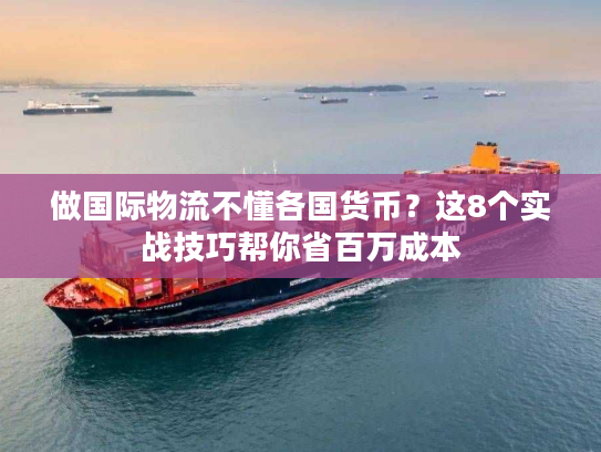 做国际物流不懂各国货币?这8个实战技巧帮你省百万成本 做国际物流不懂各国货币?这8个实战技巧帮你省百万成本