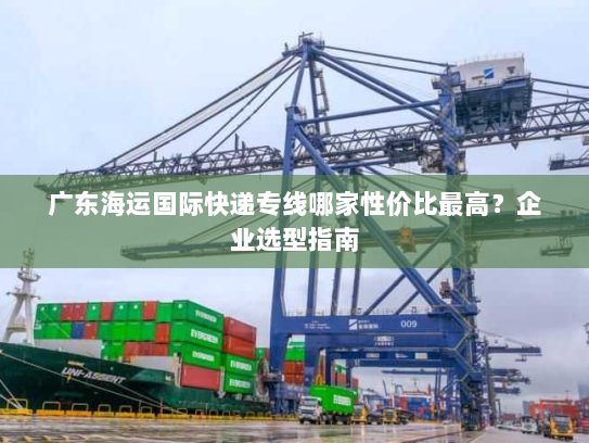 广东海运国际快递专线哪家性价比最高？企业选型指南