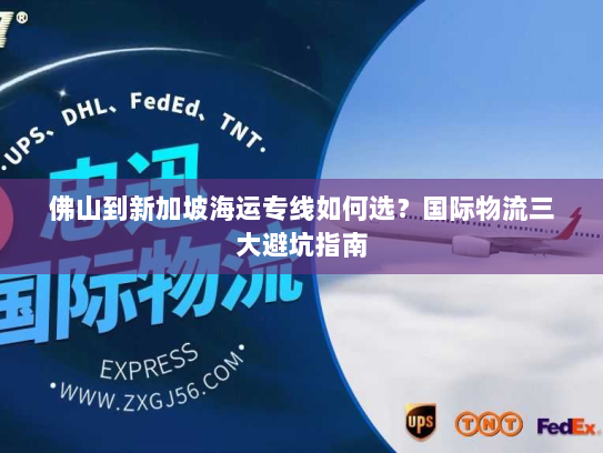 佛山到新加坡海运专线如何选?国际物流三大避坑指南 佛山到新加坡海运专线如何选?国际物流三大避坑指南