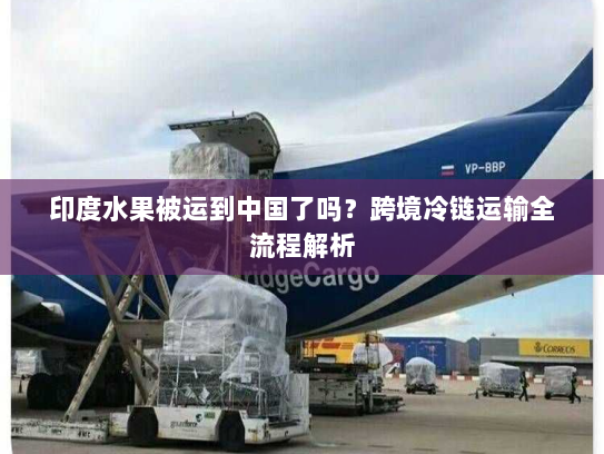 印度水果被运到中国了吗？跨境冷链运输全流程解析