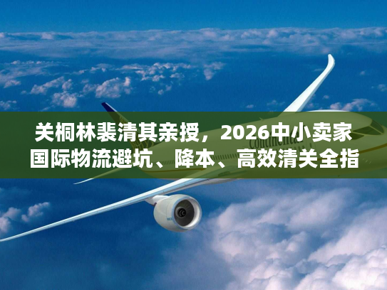 关桐林裴清其亲授，2026中小卖家国际物流避坑、降本、高效清关全指南