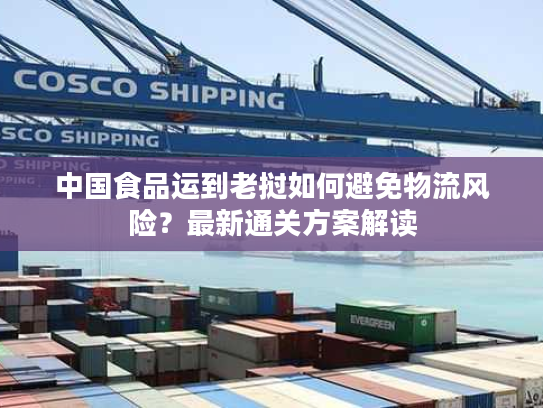 中国食品运到老挝如何避免物流风险？最新通关方案解读