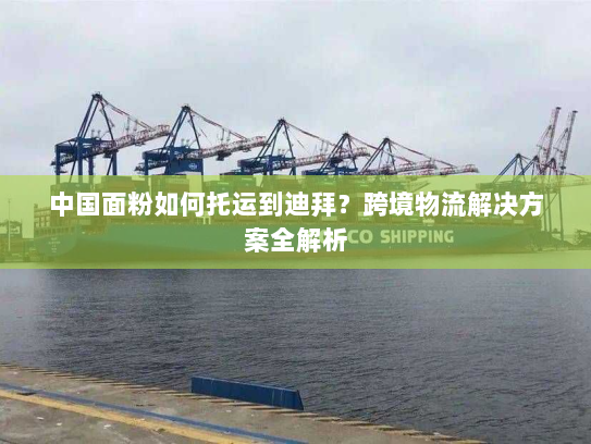 中国面粉如何托运到迪拜？跨境物流解决方案全解析