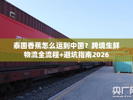 泰国香蕉怎么运到中国？跨境生鲜物流全流程+避坑指南2026