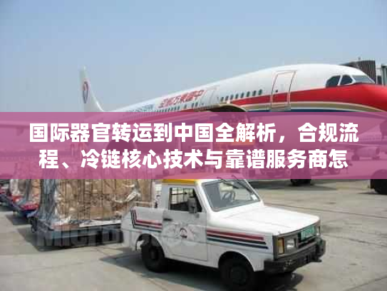 国际器官转运到中国全解析，合规流程、冷链核心技术与靠谱服务商怎么选？