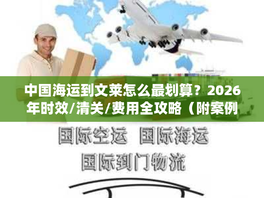 中国海运到文莱怎么最划算？2026年时效/清关/费用全攻略（附案例）