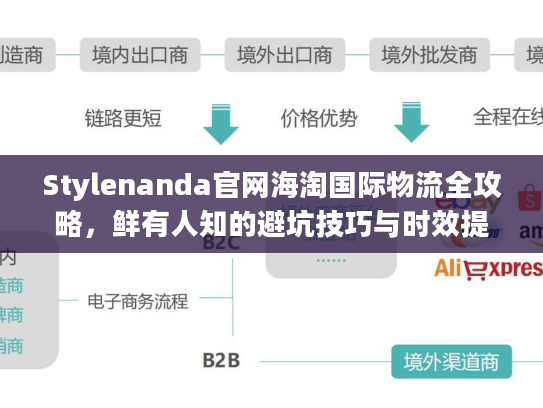 Stylenanda官网海淘国际物流全攻略，鲜有人知的避坑技巧与时效提速法