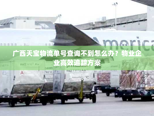 广西天宝物流单号查询不到怎么办?物业企业高效追踪方案 广西天宝物流单号查询不到怎么办?物业企业高效追踪方案