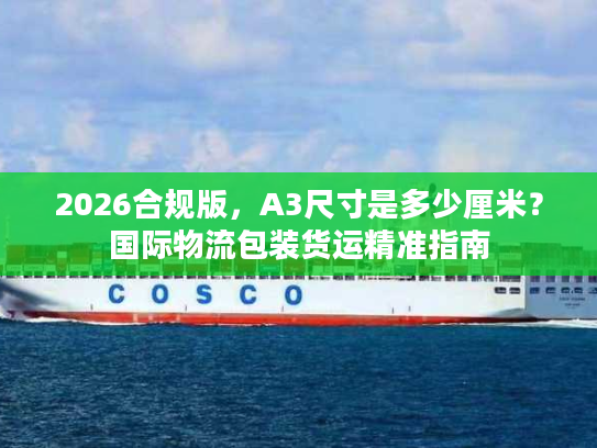 2026合规版，A3尺寸是多少厘米？国际物流包装货运精准指南