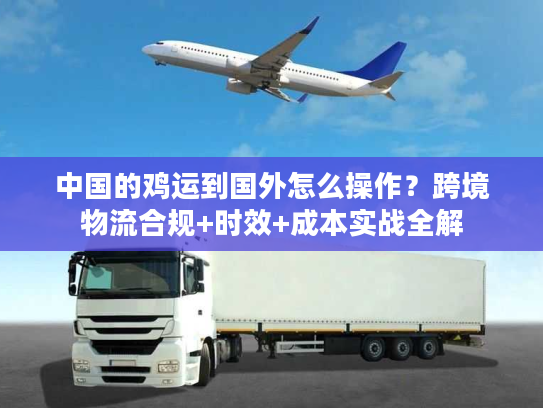 中国的鸡运到国外怎么操作？跨境物流合规+时效+成本实战全解